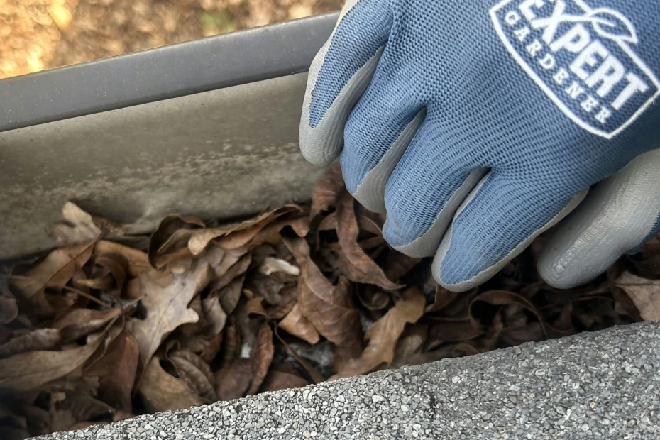 Gutter Cleaning Bulverde TX