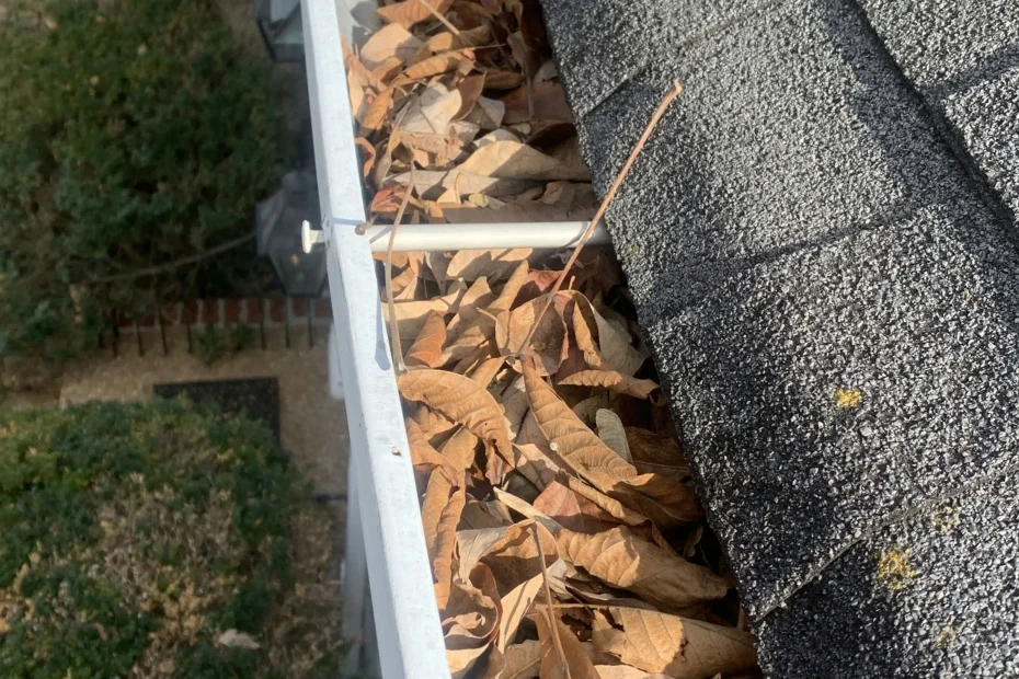 Gutter Cleaning Bulverde TX