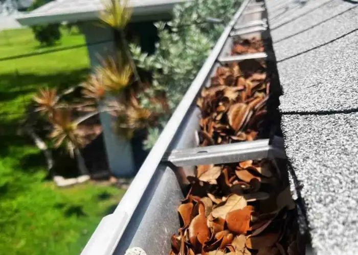 Gutter Cleaning Bulverde TX home page